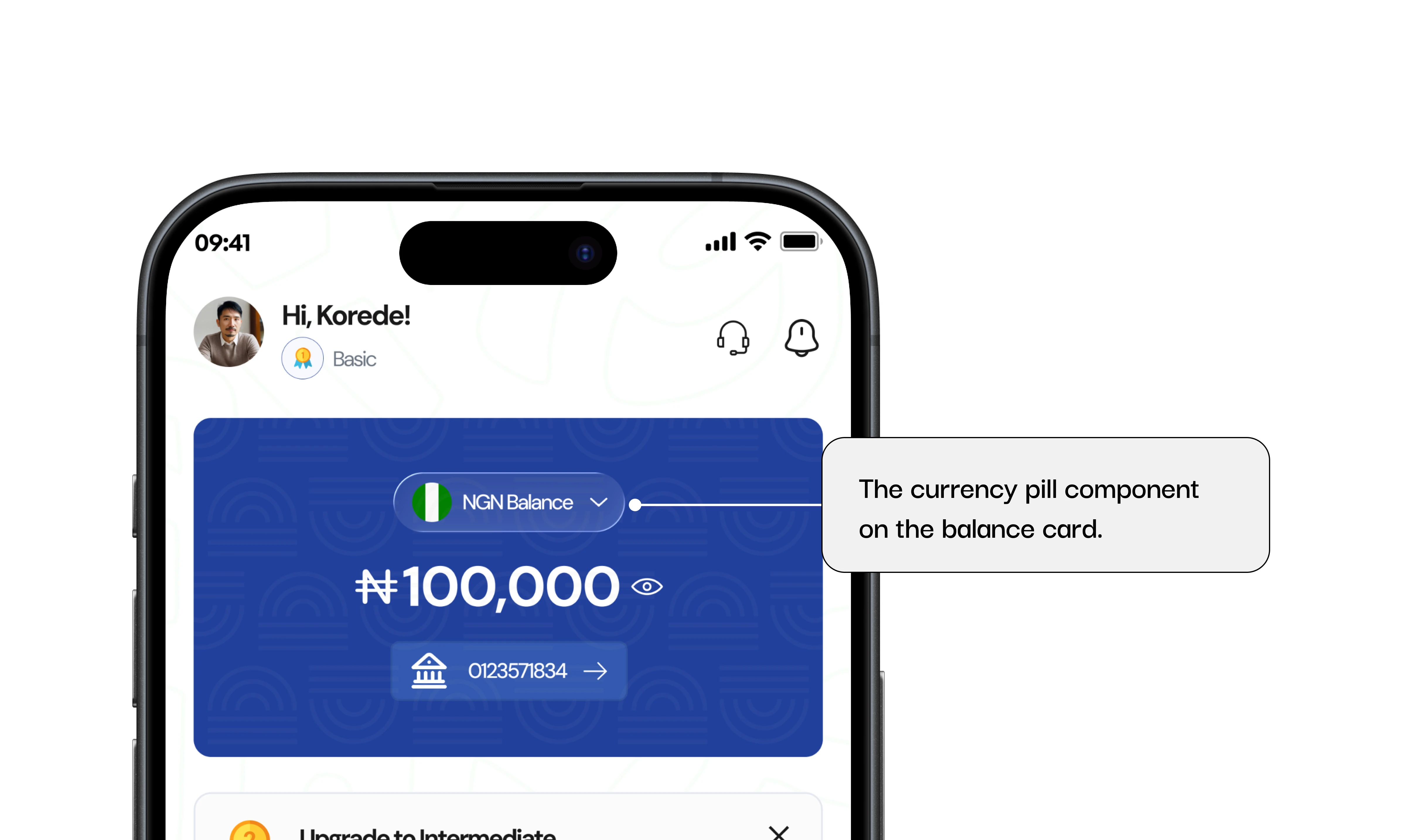 Currency pill and switcher solution